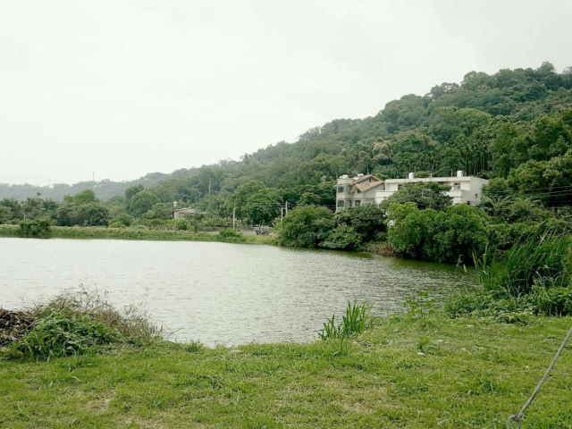 大溪建地+農地Ⅰ,桃園市大溪區埔尾段