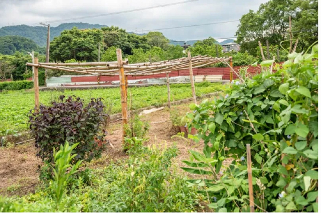 大溪埔尾段農保田,桃園市大溪區埔尾段