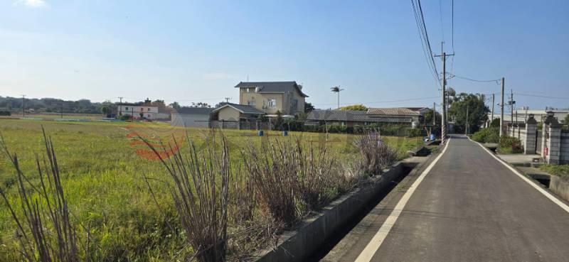 青埔月山路旁美田