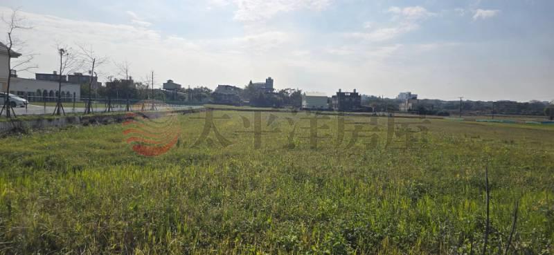 青埔月山路旁美田