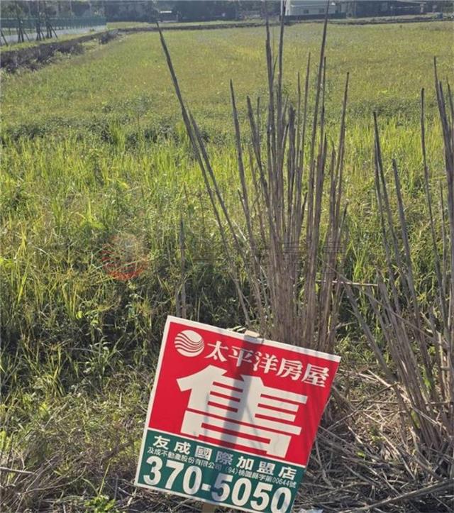 青埔月山路旁美田
