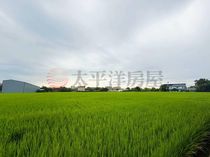 內壢段方正美農地