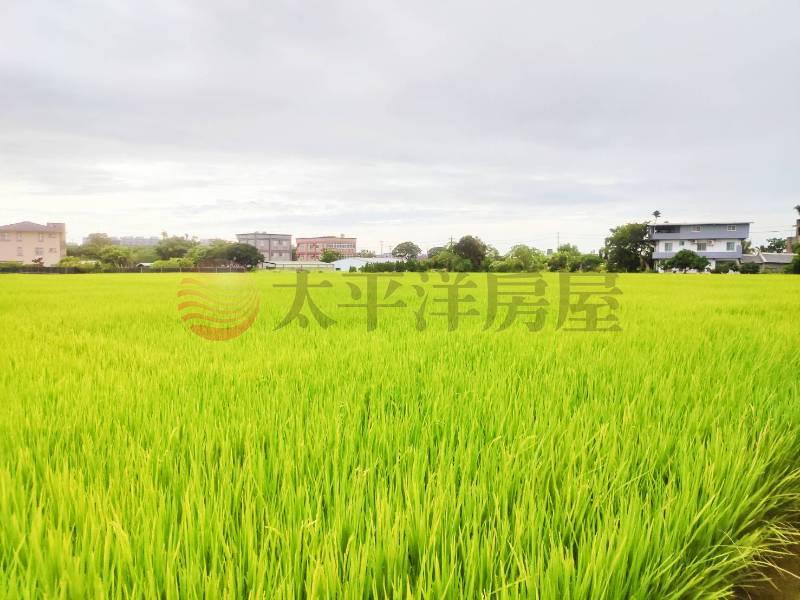 內壢段方正美農地 照片3