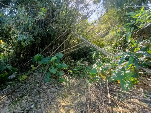 三峽紫微路小農地